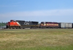 CN 2531